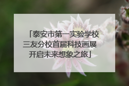 泰安市第一实验学校三友分校首届科技画展开启未来想象之旅