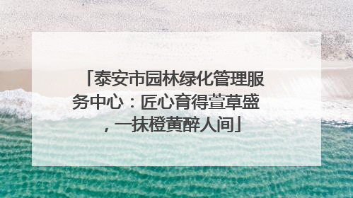 泰安市园林绿化管理服务中心：匠心育得萱草盛，一抹橙黄醉人间