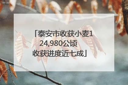 泰安市收获小麦124,980公顷 收获进度近七成