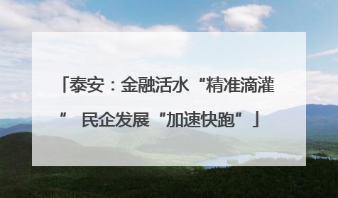 泰安：金融活水“精准滴灌” 民企发展“加速快跑”