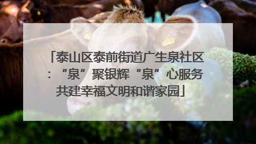 泰山区泰前街道广生泉社区：“泉”聚银辉“泉”心服务共建幸福文明和谐家园