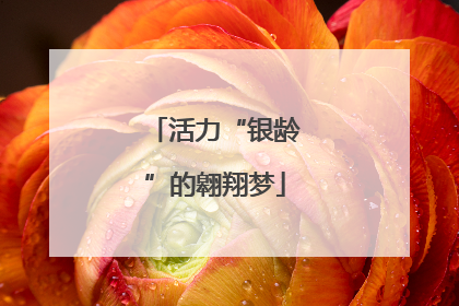 活力“银龄”的翱翔梦
