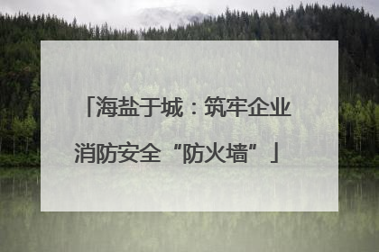 海盐于城：筑牢企业消防安全“防火墙”
