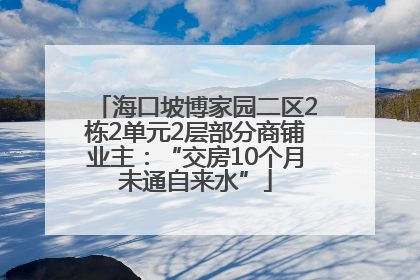 海口坡博家园二区2栋2单元2层部分商铺业主：“交房10个月未通自来水”