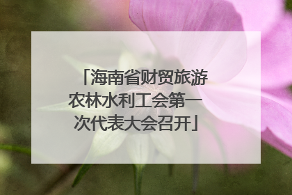 海南省财贸旅游农林水利工会第一次代表大会召开