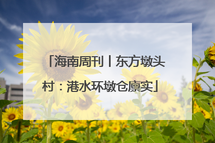 海南周刊丨东方墩头村：港水环墩仓廪实