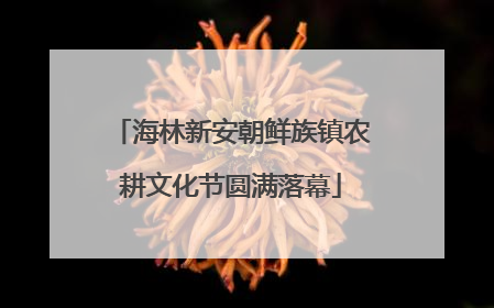 海林新安朝鲜族镇农耕文化节圆满落幕
