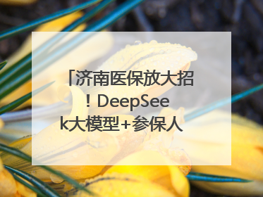 济南医保放大招！DeepSeek大模型+参保人画像 解锁AI医保管家新体验