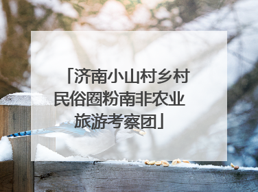 济南小山村乡村民俗圈粉南非农业旅游考察团