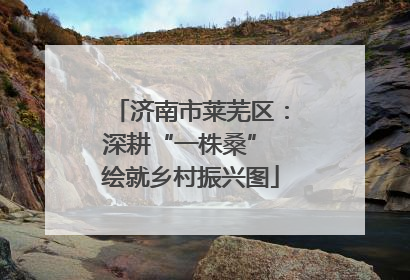 济南市莱芜区：深耕“一株桑” 绘就乡村振兴图