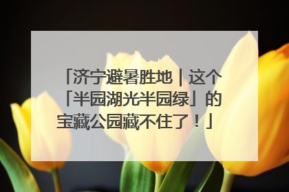 济宁避暑胜地｜这个「半园湖光半园绿」的宝藏公园藏不住了！