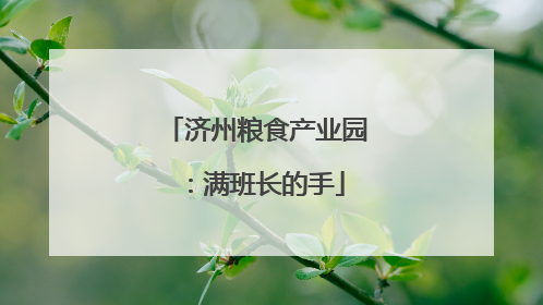 济州粮食产业园：满班长的手