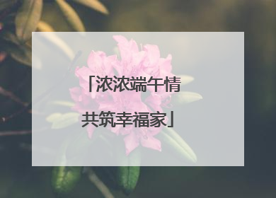 浓浓端午情 共筑幸福家