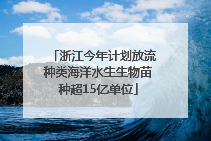 浙江今年计划放流种类海洋水生生物苗种超15亿单位