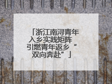 浙江南浔青年入乡实践矩阵 引燃青年返乡“双向奔赴”