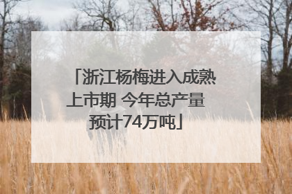 浙江杨梅进入成熟上市期 今年总产量预计74万吨
