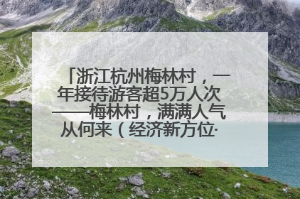 浙江杭州梅林村，一年接待游客超5万人次——梅林村，满满人气从何来（经济新方位·农村消费观察）