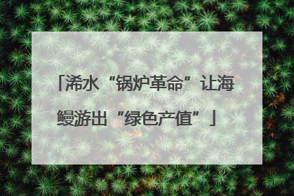 浠水“锅炉革命”让海鳗游出“绿色产值”