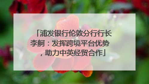 浦发银行伦敦分行行长李舸：发挥跨境平台优势，助力中英经贸合作