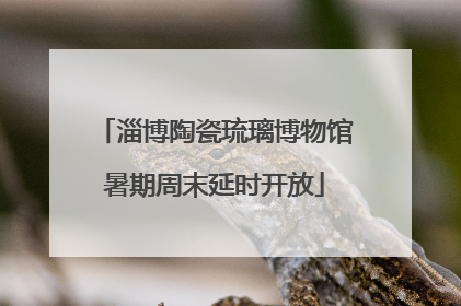 淄博陶瓷琉璃博物馆暑期周末延时开放