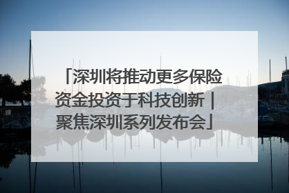 深圳将推动更多保险资金投资于科技创新｜聚焦深圳系列发布会