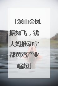 深山金凤振翅飞，钱大妈推动宁都黄鸡产业崛起