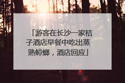 游客在长沙一家桔子酒店早餐中吃出蒸熟蟑螂，酒店回应
