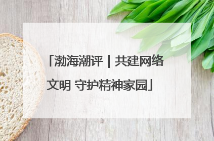 渤海潮评｜共建网络文明 守护精神家园