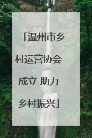 温州市乡村运营协会成立 助力乡村振兴