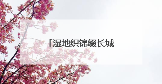 湿地织锦缀长城，苍头河染绿右玉文旅新画卷