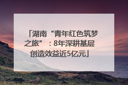湖南“青年红色筑梦之旅”：8年深耕基层创造效益近5亿元