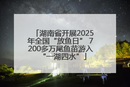 湖南省开展2025年全国“放鱼日” 7200多万尾鱼苗游入“一湖四水”