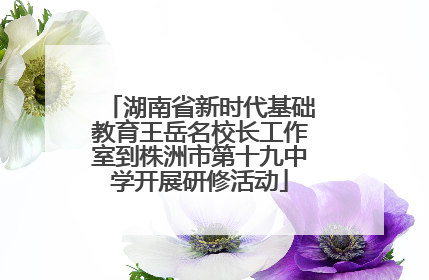 湖南省新时代基础教育王岳名校长工作室到株洲市第十九中学开展研修活动