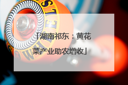 湖南祁东：黄花菜产业助农增收