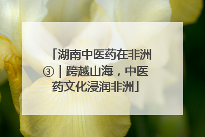 湖南中医药在非洲③｜跨越山海，中医药文化浸润非洲