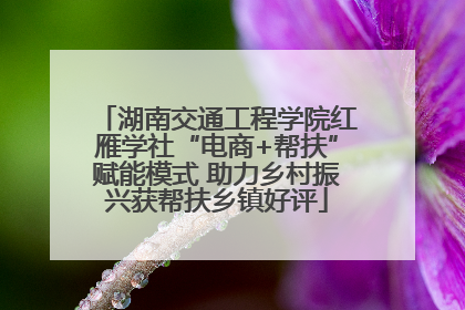 湖南交通工程学院红雁学社“电商+帮扶”赋能模式 助力乡村振兴获帮扶乡镇好评