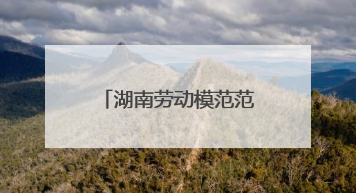 湖南劳动模范范平军：一把砖刀“砌”出精彩人生