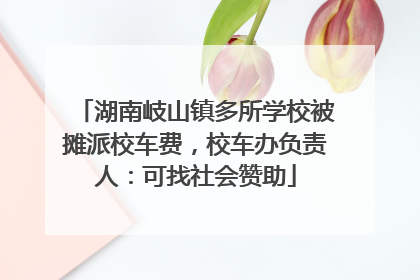 湖南岐山镇多所学校被摊派校车费，校车办负责人：可找社会赞助