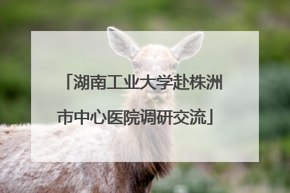湖南工业大学赴株洲市中心医院调研交流