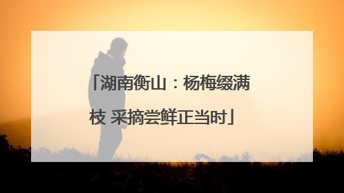 湖南衡山：杨梅缀满枝 采摘尝鲜正当时
