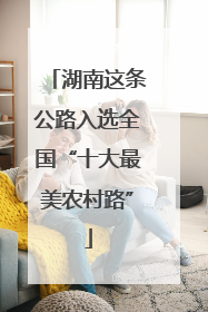 湖南这条公路入选全国“十大最美农村路”