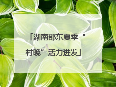湖南邵东夏季“村晚”活力迸发