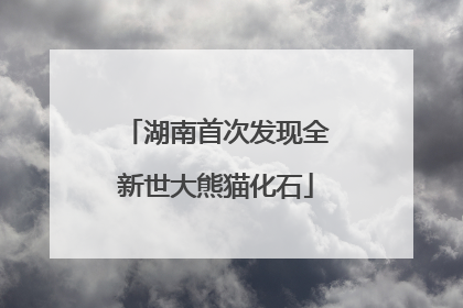 湖南首次发现全新世大熊猫化石
