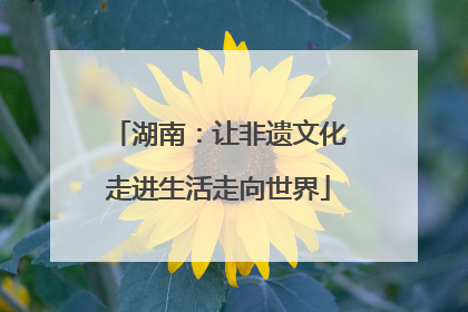 湖南：让非遗文化走进生活走向世界