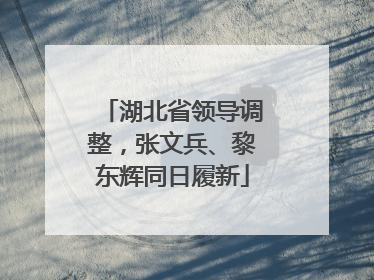 湖北省领导调整，张文兵、黎东辉同日履新
