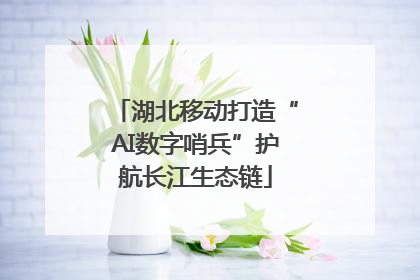 湖北移动打造“AI数字哨兵”护航长江生态链