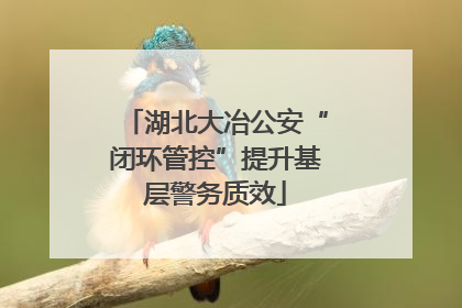 湖北大冶公安“闭环管控”提升基层警务质效
