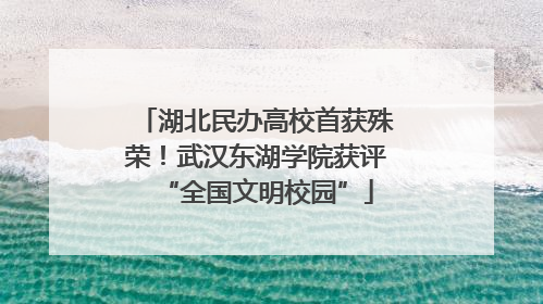 湖北民办高校首获殊荣！武汉东湖学院获评“全国文明校园”
