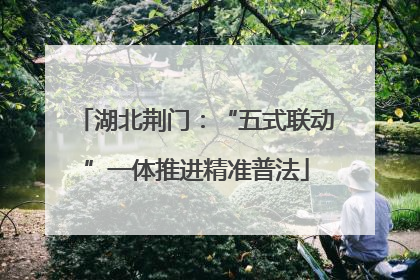 湖北荆门：“五式联动”一体推进精准普法