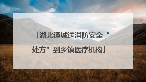 湖北通城送消防安全“处方”到乡镇医疗机构